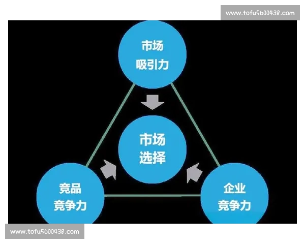 全方位品牌推广策略打造企业核心竞争力与市场影响力 全方位品牌推广策略打造企业核心竞争力与市场影响力